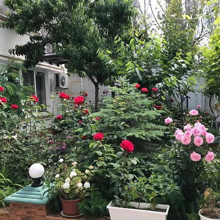 Vilari Odessa